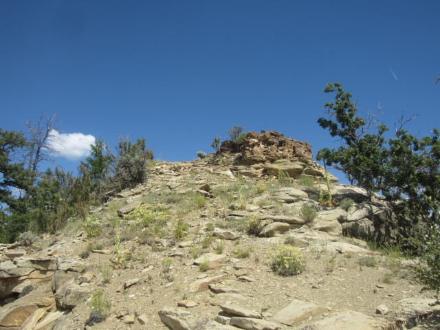 IMG_4503.JPG